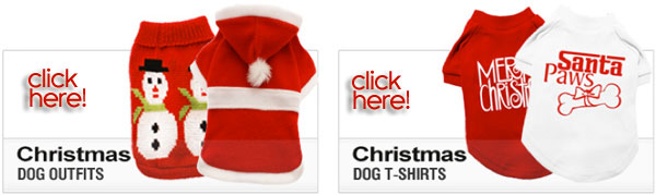 christmas dog outfits and clothes