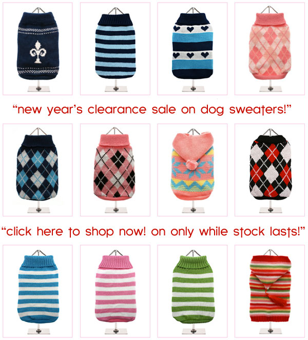 clearance sale on dog sweaters!