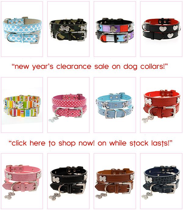 clearance sale on designer dog collars! for a limited time only so act ...