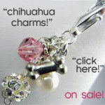 chihuahua charms