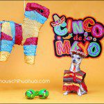 chihuahua cincode mayo