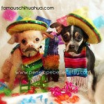 chihuahuas with mustaches