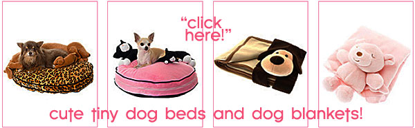 beds for small dogs