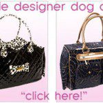 dog carriers