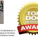 fc topdog award