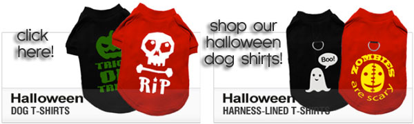 halloween dog shirts