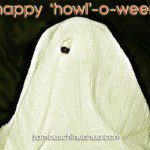 harley chihuahua ghost