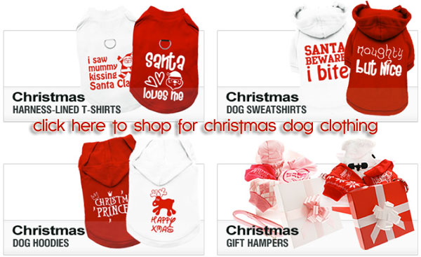 christmas dog clothing and accessories