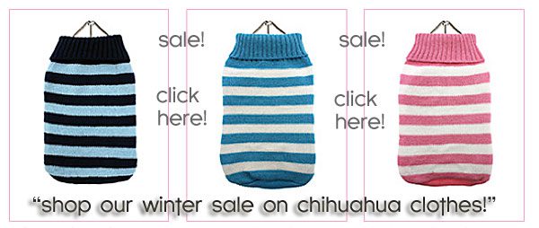 sale on chihuahua clothes