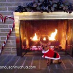 santa in front of fireplace