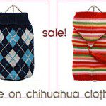 wintersale cc