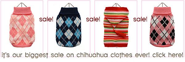 sale chihuahua clothes