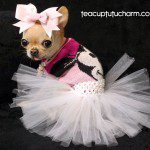 teacuptutucharm