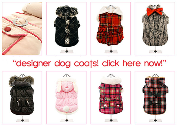designer dog coats