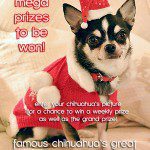 christmas giveaway contest