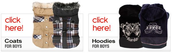 boy dog clothes fashions