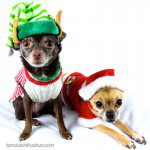 christmas jackson phoebe