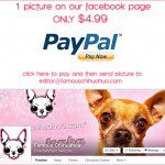 facebook page button