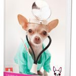 Famous Chihuahua 3D Book