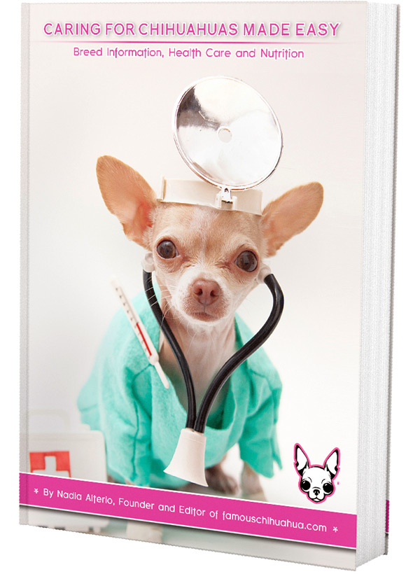 Caring for Chihuahuas Made Easy eBook