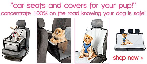 car seats for dogs