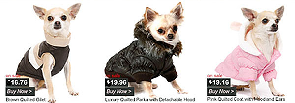 sale on dog coats