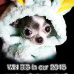 2015 easter contest