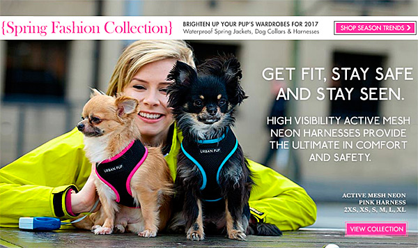 Spring Fashion Collection! Active Mesh Dog Harnesses!