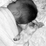 boy sleeping chihuahua