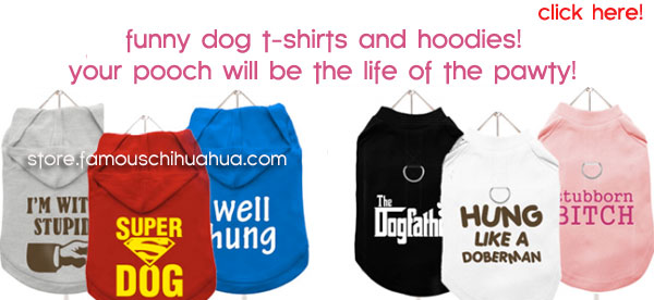 novelty dog shirts