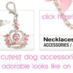 cute dog accessories