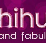 famous chihuahua banner