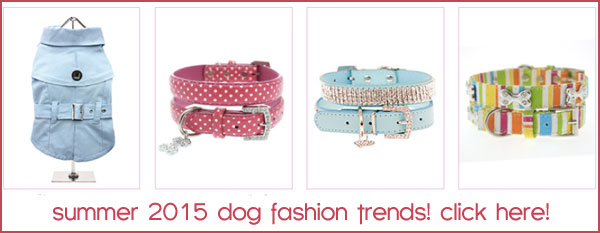 summer dog fashions trends