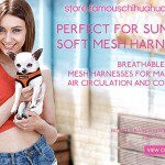mesh harness image