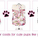 affordable dog coats