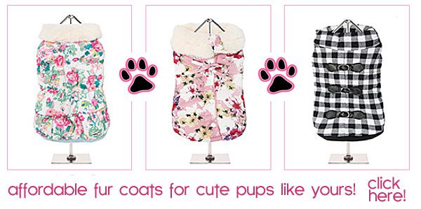 affordable fur dog coats