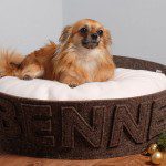 black white napsdogbed