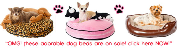 sale dog beds