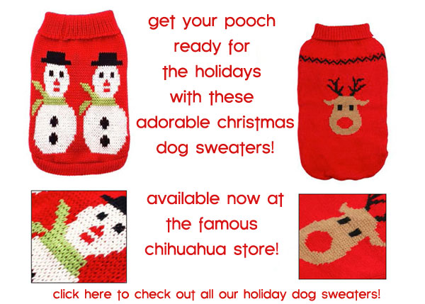 holiday dog sweaters outfits