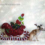 cammy grinch chihuahua