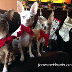 zoey sophia marteenie xmaschis