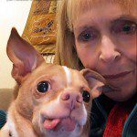 chihuly kathryn chihuahua selfie