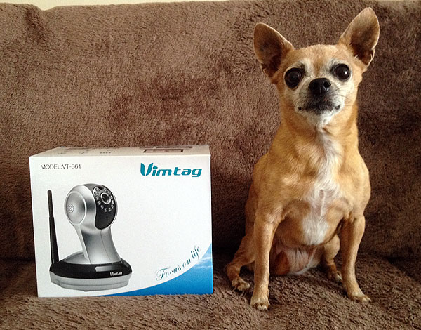 dog monitor camera