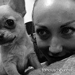 famouschihuahua selfie