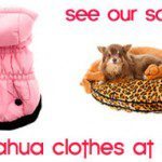 chihuahuaclothes sale