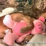 cody famous chihuahua