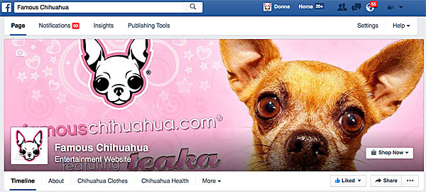 famous chihuahua facebook page