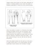 luxating patellas chihuahuas