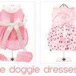 cutedog dresses