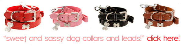 dog collars leads